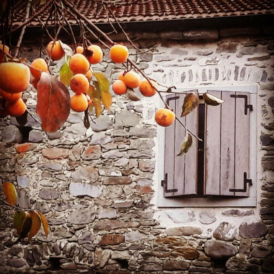 B&B Ai Chiosi Pontremoli Exterior foto